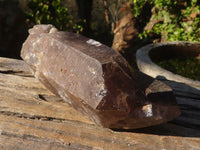 Polished Large Morion Smokey Quartz Crystal  x 1 From Zomba, Malawi