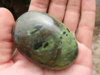 Polished Leopard Stone Palm Stones  x 6 From Zimbabwe - TopRock