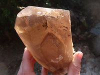 Polished Large Morion Smokey Quartz Crystal  x 1 From Zomba, Malawi