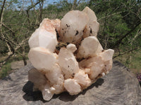 Natural Extra Large Cascading Quartz Cluster x 1 From Madagascar - TopRock