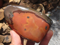 Polished Polychrome / Picasso Jasper Standing Free Forms  x 6 From Madagascar - TopRock