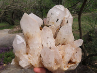 Natural Extra Large Cascading Quartz Cluster x 1 From Madagascar - TopRock