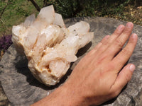 Natural Extra Large Cascading Quartz Cluster x 1 From Madagascar - TopRock