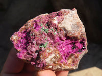 Natural Pink Salrose Cobaltion Dolomite Specimens x 6 From Kakanda, Congo