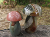 Polished Polychrome / Picasso Jasper Mushrooms  x 6 From Mahajanga, Madagascar - TopRock