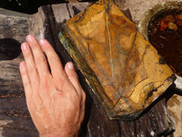 Natural Golden Blue Tigers Eye Specimen x 1 From Prieska, South Africa - TopRock