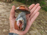 Polished Polychrome / Picasso Jasper Mushrooms  x 6 From Mahajanga, Madagascar - TopRock