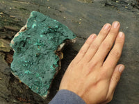 Natural Micro Botryoidal Crystalline Malachite Specimens  x 3 From Tenke Fungurume, Congo - TopRock