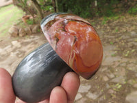 Polished Polychrome / Picasso Jasper Mushrooms  x 6 From Mahajanga, Madagascar - TopRock