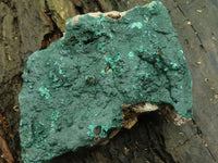 Natural Micro Botryoidal Crystalline Malachite Specimens  x 3 From Tenke Fungurume, Congo - TopRock