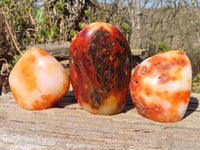 Polished Carnelian Agate Standing Free Forms  x 3 From Madagascar