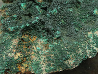 Natural Micro Botryoidal Crystalline Malachite Specimens  x 3 From Tenke Fungurume, Congo - TopRock