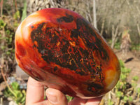 Polished Carnelian Agate Standing Free Forms  x 3 From Madagascar