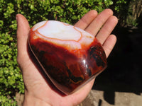 Polished Carnelian Agate Standing Free Forms  x 3 From Madagascar