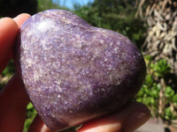 Polished Purple Lepidolite Hearts  x 6 From Madagascar - Toprock Gemstones and Minerals 