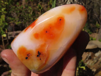 Polished Carnelian Agate Standing Free Forms  x 3 From Madagascar