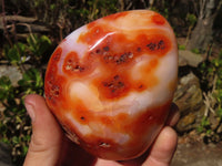 Polished Carnelian Agate Standing Free Forms  x 3 From Madagascar