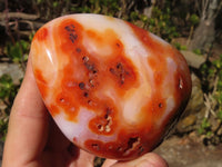 Polished Carnelian Agate Standing Free Forms  x 3 From Madagascar