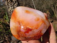 Polished Carnelian Agate Standing Free Forms  x 3 From Madagascar