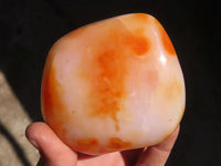 Polished Carnelian Agate Standing Free Forms  x 3 From Madagascar