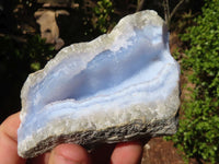 Natural Blue Lace Agate Geode Specimens  x 12 From Nsanje, Malawi - Toprock Gemstones and Minerals 