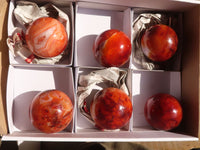 Polished Carnelian Agate Spheres  x 6 From Madagascar