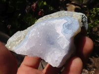 Natural Blue Lace Agate Geode Specimens  x 12 From Nsanje, Malawi - Toprock Gemstones and Minerals 