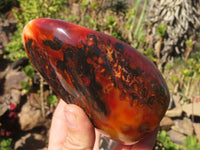 Polished Carnelian Agate Standing Free Forms  x 3 From Madagascar