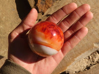 Polished Carnelian Agate Spheres  x 6 From Madagascar