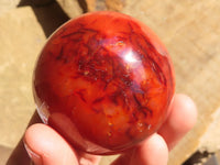 Polished Carnelian Agate Spheres  x 6 From Madagascar