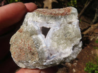 Natural Blue Lace Agate Geode Specimens  x 12 From Nsanje, Malawi - Toprock Gemstones and Minerals 