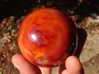 Polished Carnelian Agate Spheres  x 6 From Madagascar