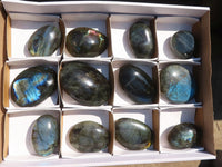 Polished  Flashy Labradorite Palm Stones  x 12 From Tulear, Madagascar