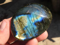 Polished  Flashy Labradorite Palm Stones  x 12 From Tulear, Madagascar