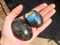 Polished  Flashy Labradorite Palm Stones  x 12 From Tulear, Madagascar