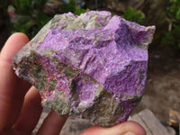 Natural Rough Stichtite & Serpentine Specimens  x 12 From Barberton, South Africa - Toprock Gemstones and Minerals 