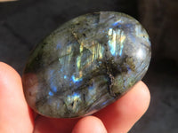 Polished  Flashy Labradorite Palm Stones  x 12 From Tulear, Madagascar