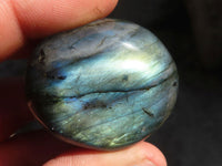 Polished  Flashy Labradorite Palm Stones  x 12 From Tulear, Madagascar