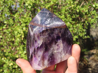 Polished Chevron Amethyst Point x 1 From Zambia