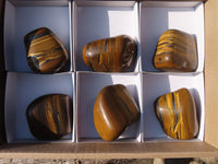 Polished Golden Tigers Eye Free Forms x 6 From Prieska, South Africa