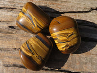 Polished Golden Tigers Eye Free Forms x 6 From Prieska, South Africa