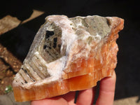 Natural New Sunset Orange Calcite Specimens x 4 From Spitzkop, Namibia