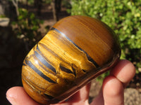 Polished Golden Tigers Eye Free Forms x 6 From Prieska, South Africa