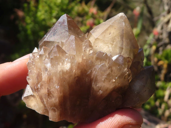 Natural Cascading White Phantom Smokey Quartz Clusters  x 16 From Luena, Congo - Toprock Gemstones and Minerals 