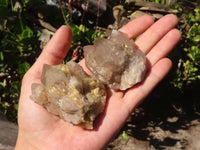 Natural Cascading White Phantom Smokey Quartz Clusters  x 16 From Luena, Congo - Toprock Gemstones and Minerals 