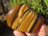 Polished Golden Tigers Eye Free Forms x 6 From Prieska, South Africa