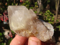 Natural Cascading White Phantom Smokey Quartz Clusters  x 16 From Luena, Congo - Toprock Gemstones and Minerals 