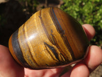 Polished Golden Tigers Eye Free Forms x 6 From Prieska, South Africa