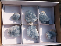 Natural Blue Celestite Crystal Specimens  x 6 From Sakoany, Madagascar - Toprock Gemstones and Minerals 