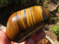 Polished Golden Tigers Eye Free Forms x 6 From Prieska, South Africa